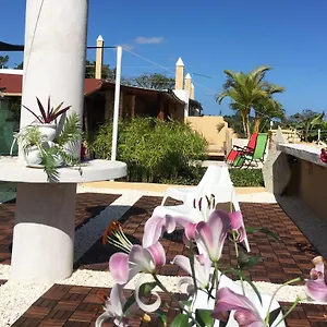 Hotel Boutique ****